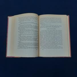 Картинка 4