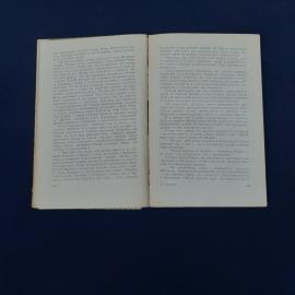 Картинка 4