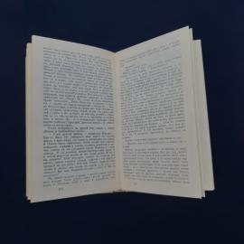 Картинка 4