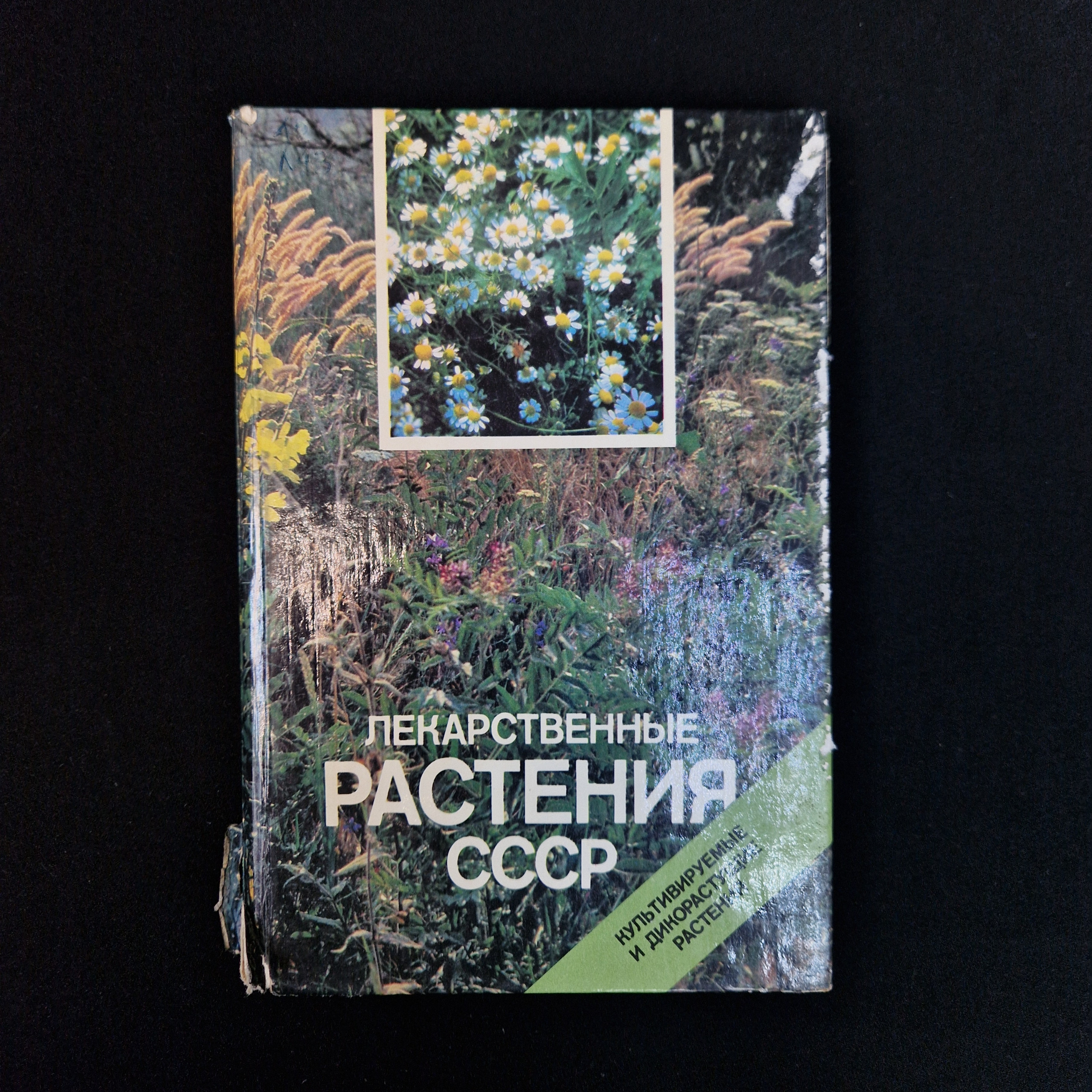 Картинка 1