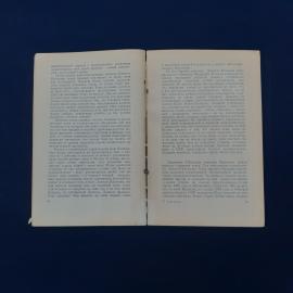 Картинка 5