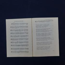 Картинка 5