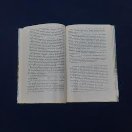 Картинка 4
