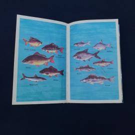 Картинка 5