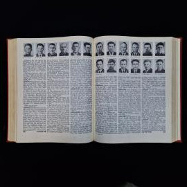 Картинка 6