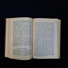 Картинка 6
