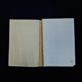 Картинка 4