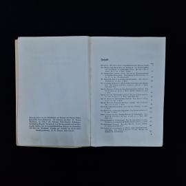 Картинка 5