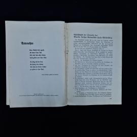 Картинка 8