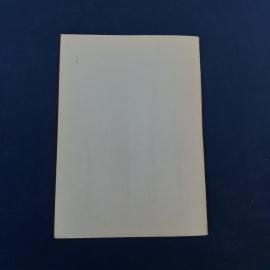 Картинка 6