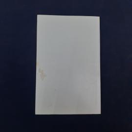 Картинка 5