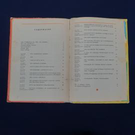Картинка 5