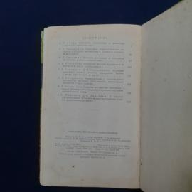 Картинка 4