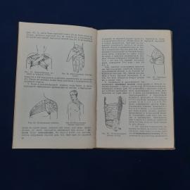 Картинка 4