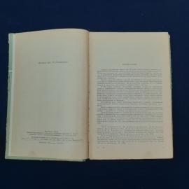 Картинка 3