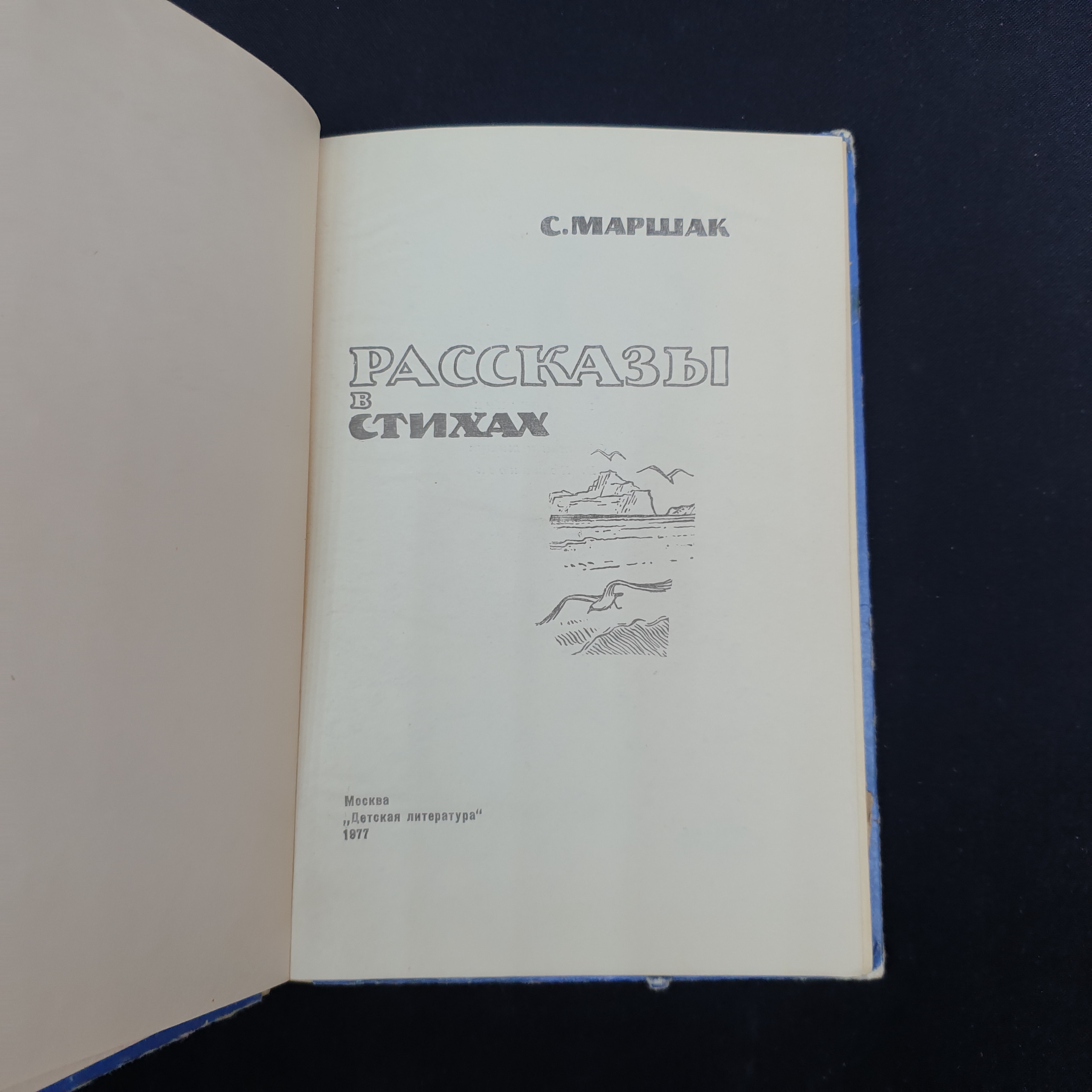 Картинка 3
