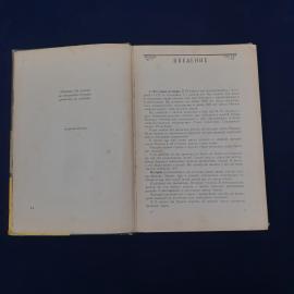 Картинка 3