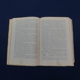 Картинка 4