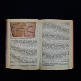 Картинка 6