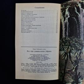 Картинка 6