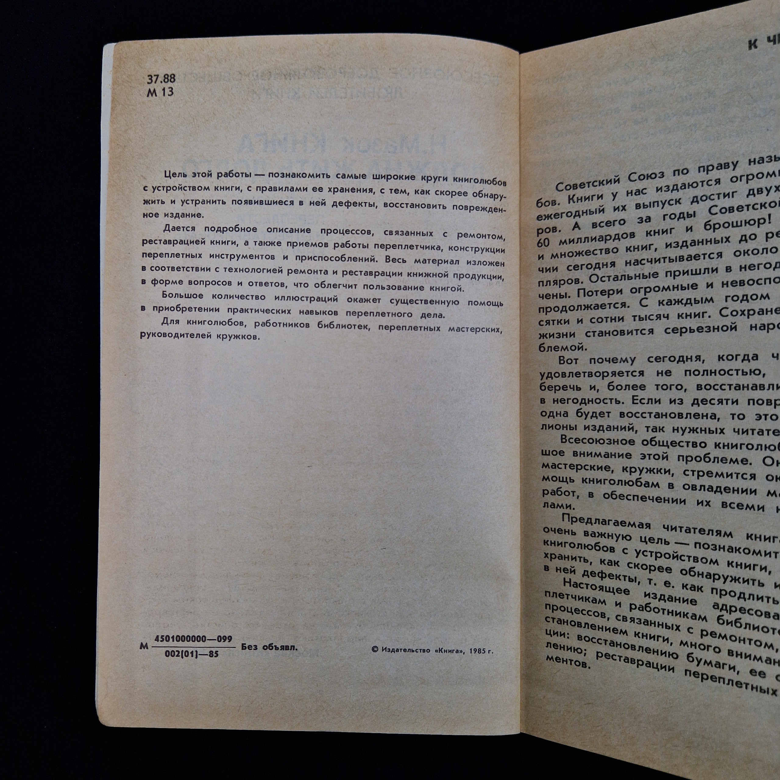 Картинка 5