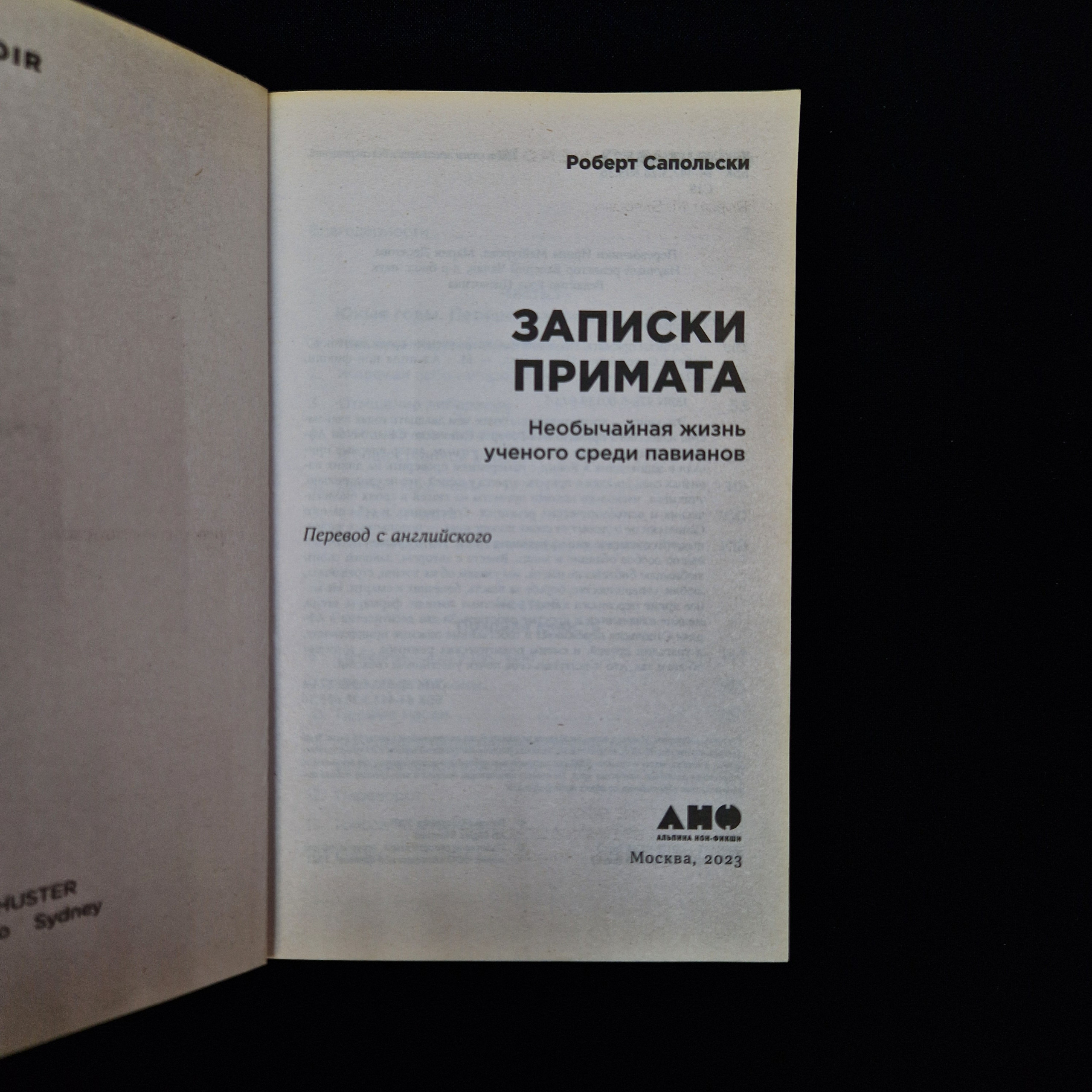 Картинка 4