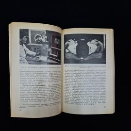 Картинка 6