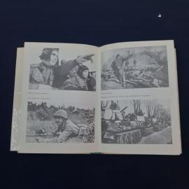 Картинка 4