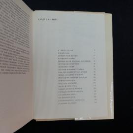 Картинка 5