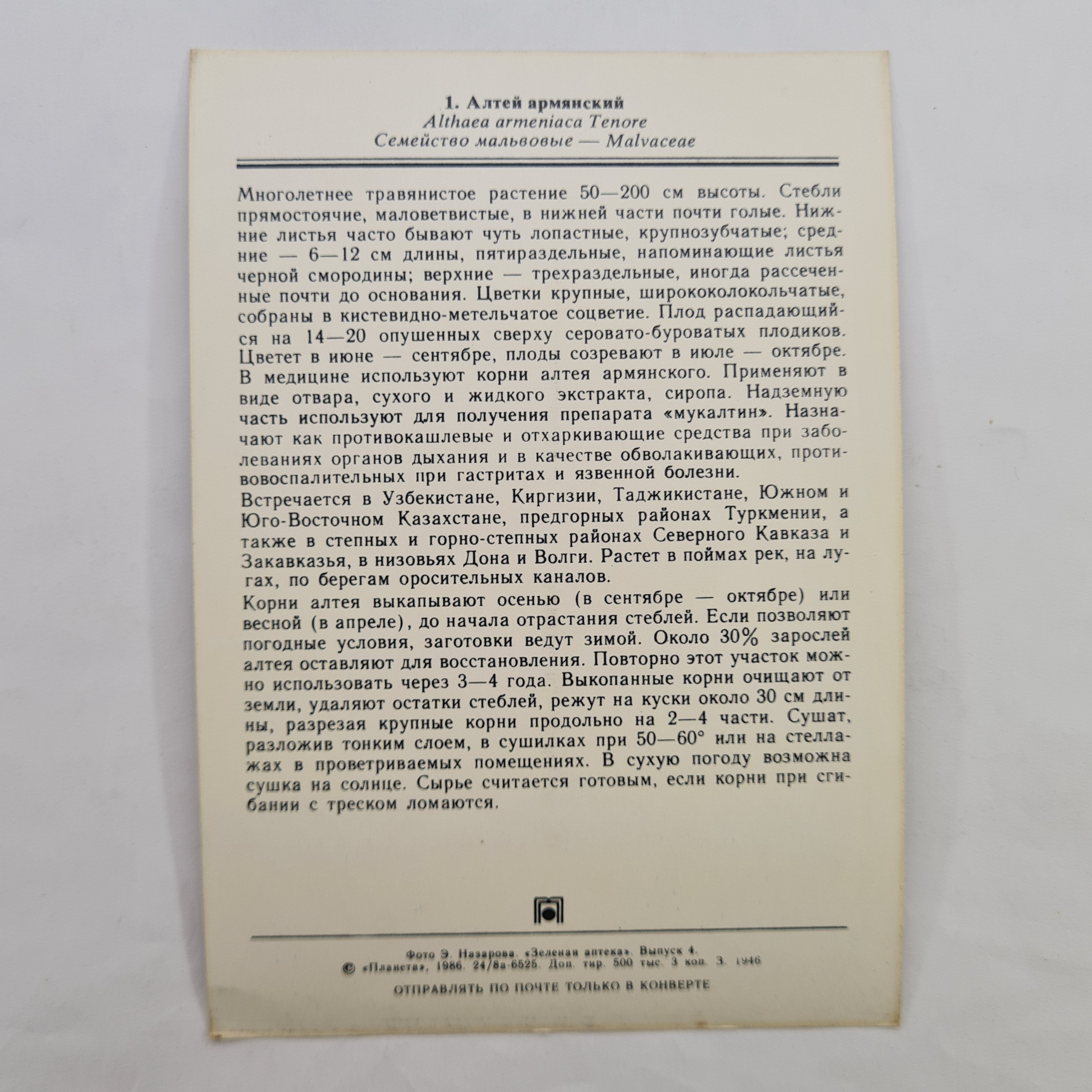 Картинка 2