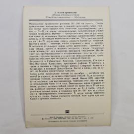 Картинка 2