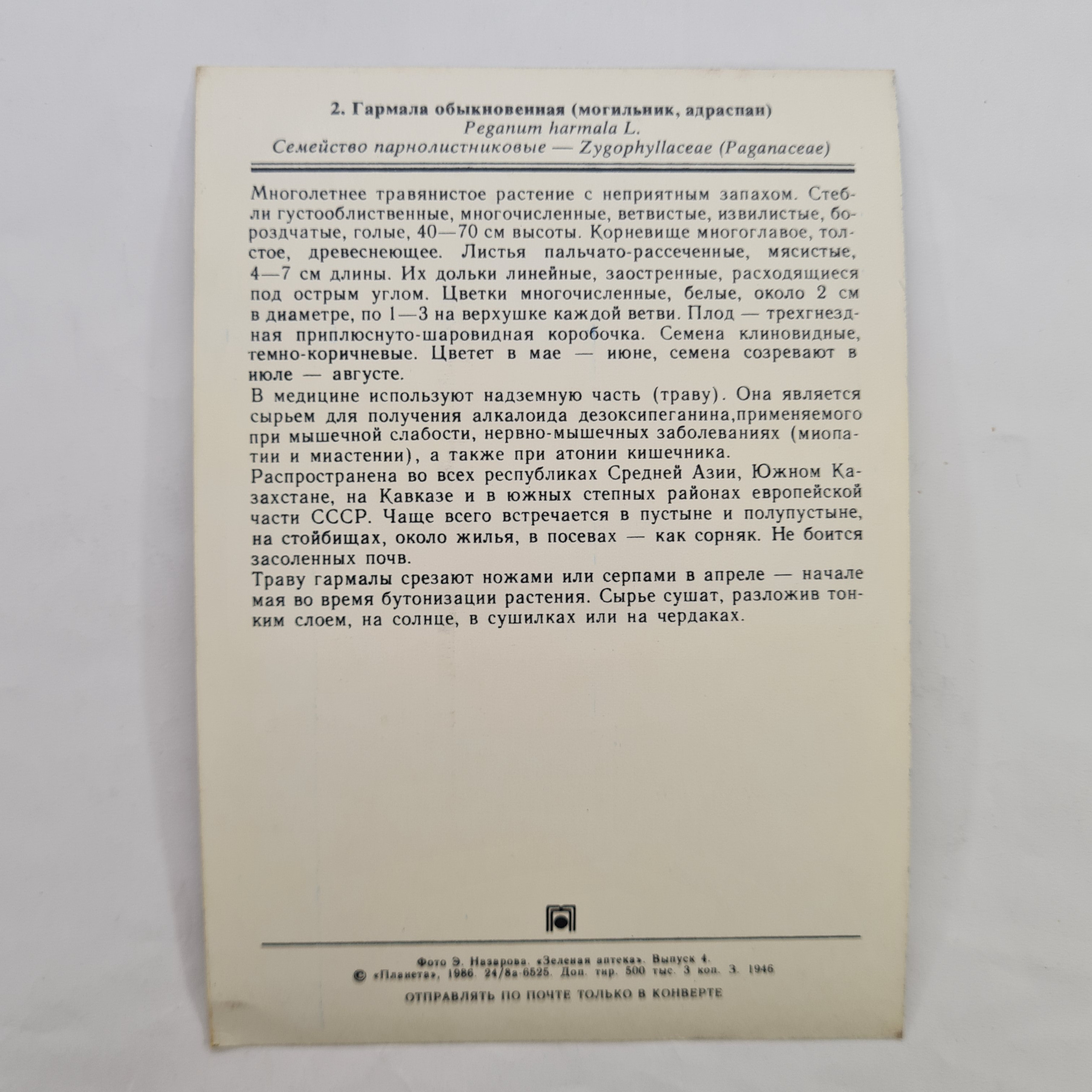 Картинка 2