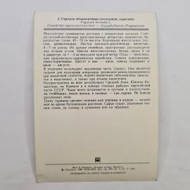 Картинка 2
