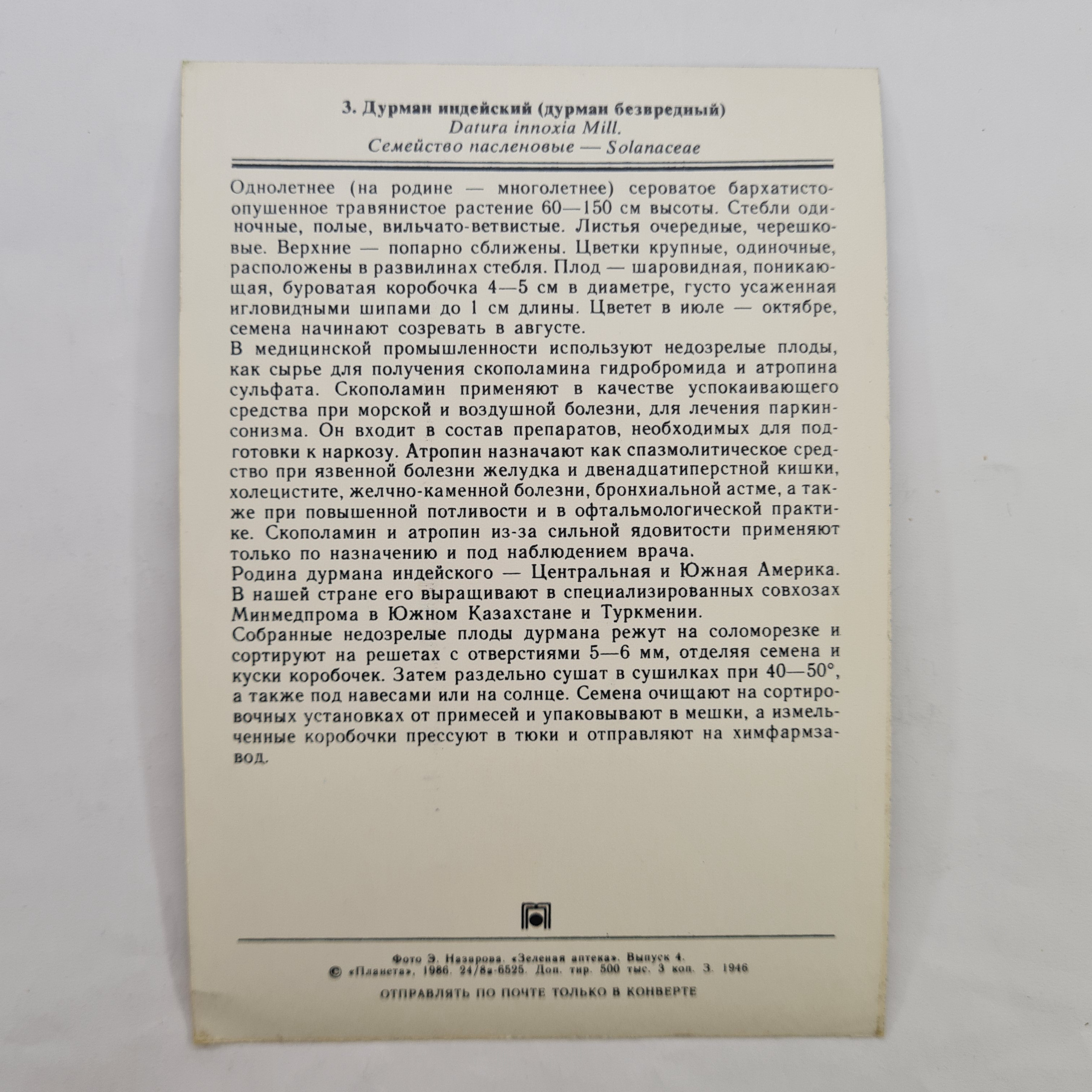 Картинка 2
