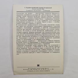 Картинка 2