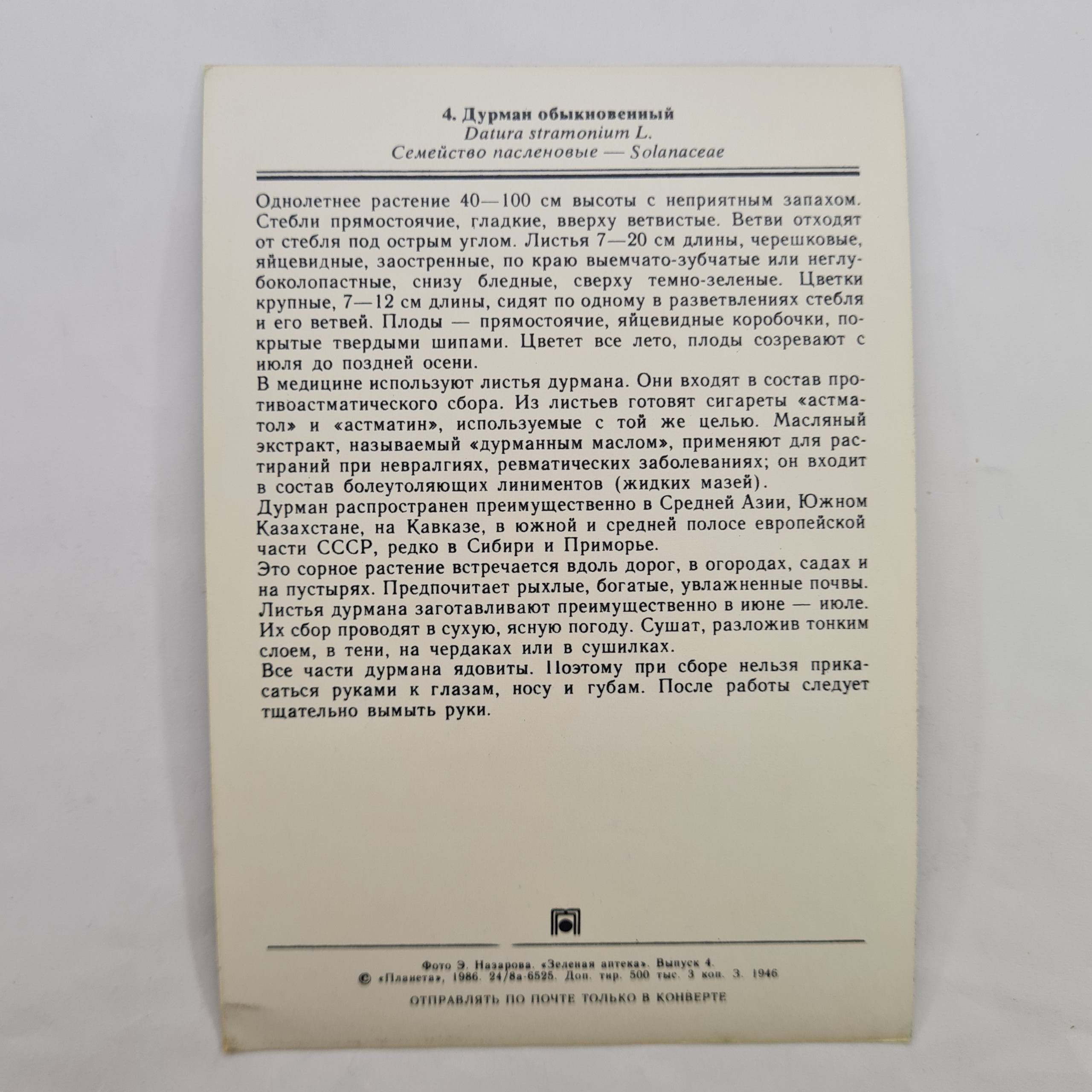Картинка 2