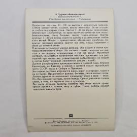 Картинка 2