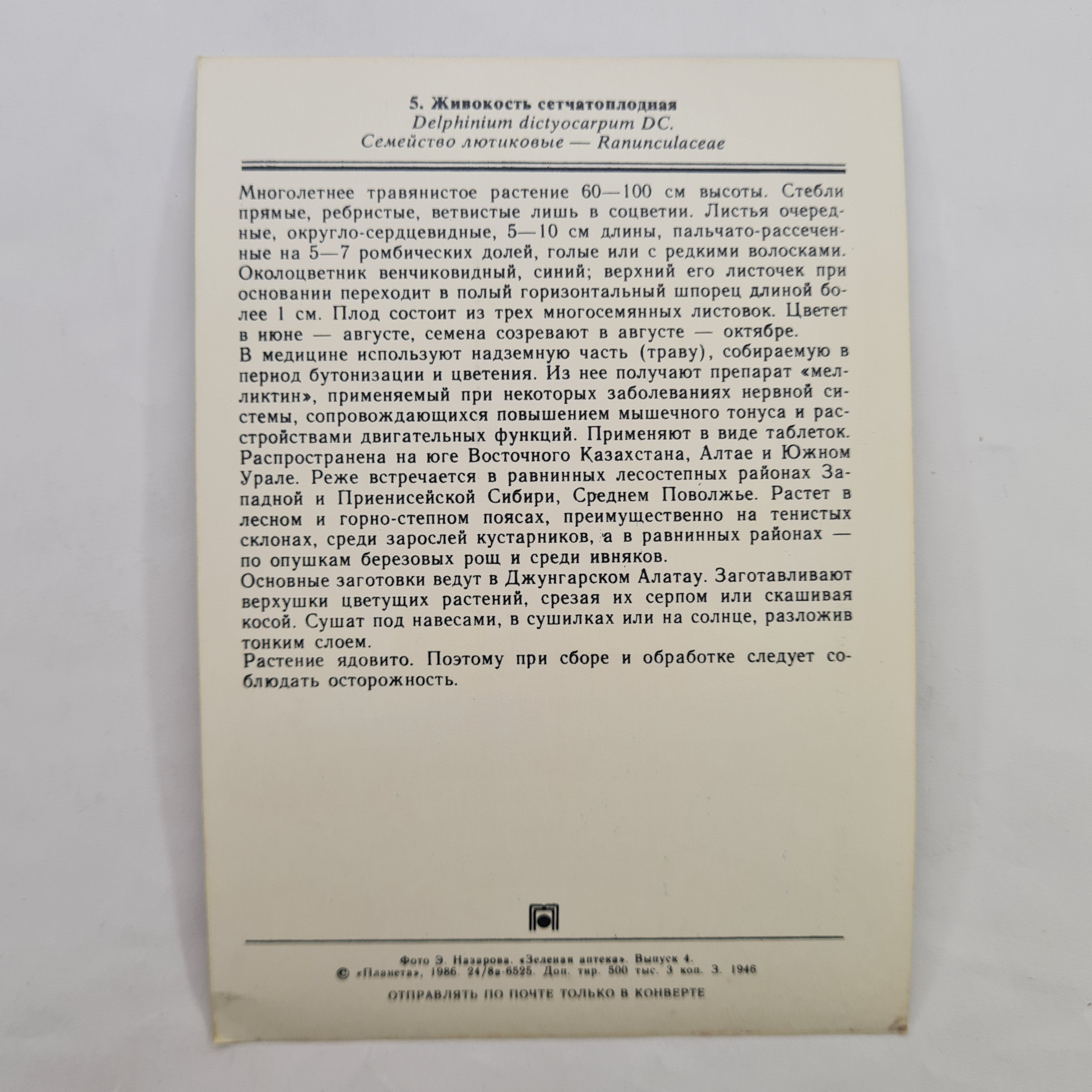 Картинка 2