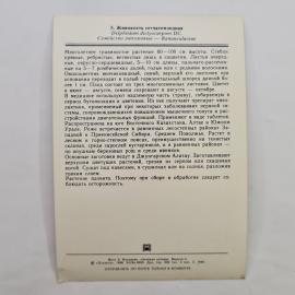 Картинка 2