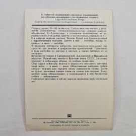 Картинка 2