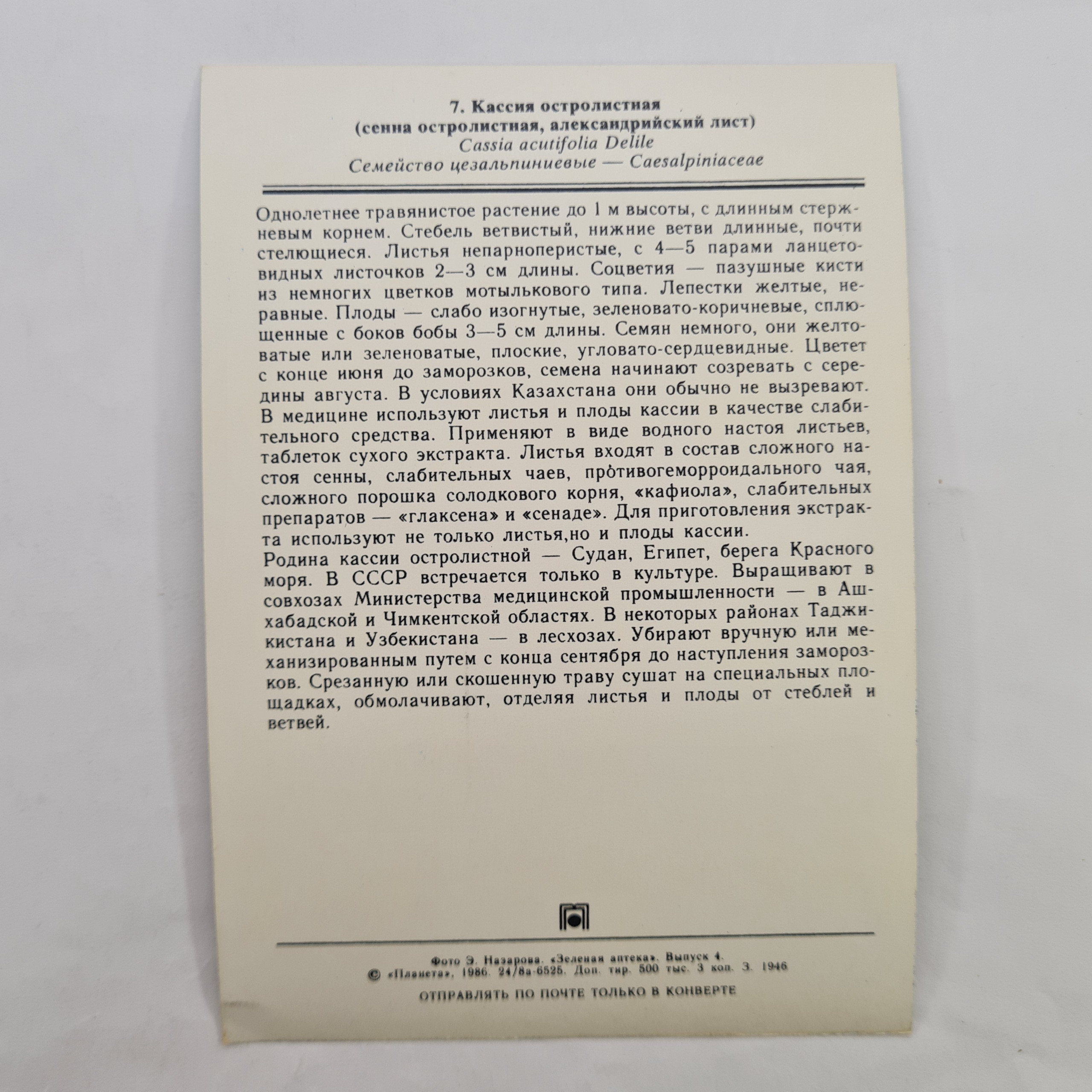Картинка 2