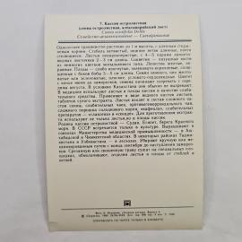 Картинка 2