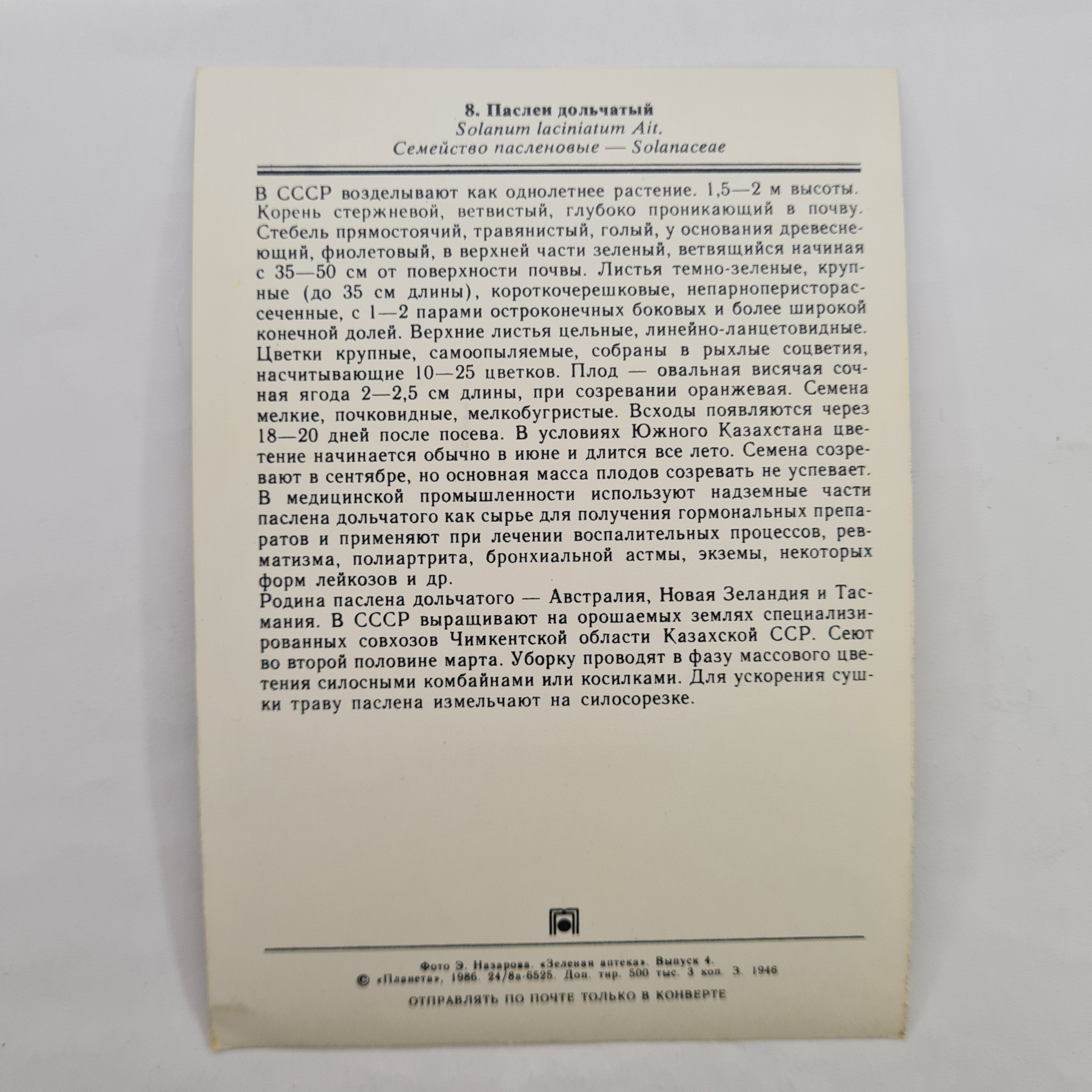 Картинка 2