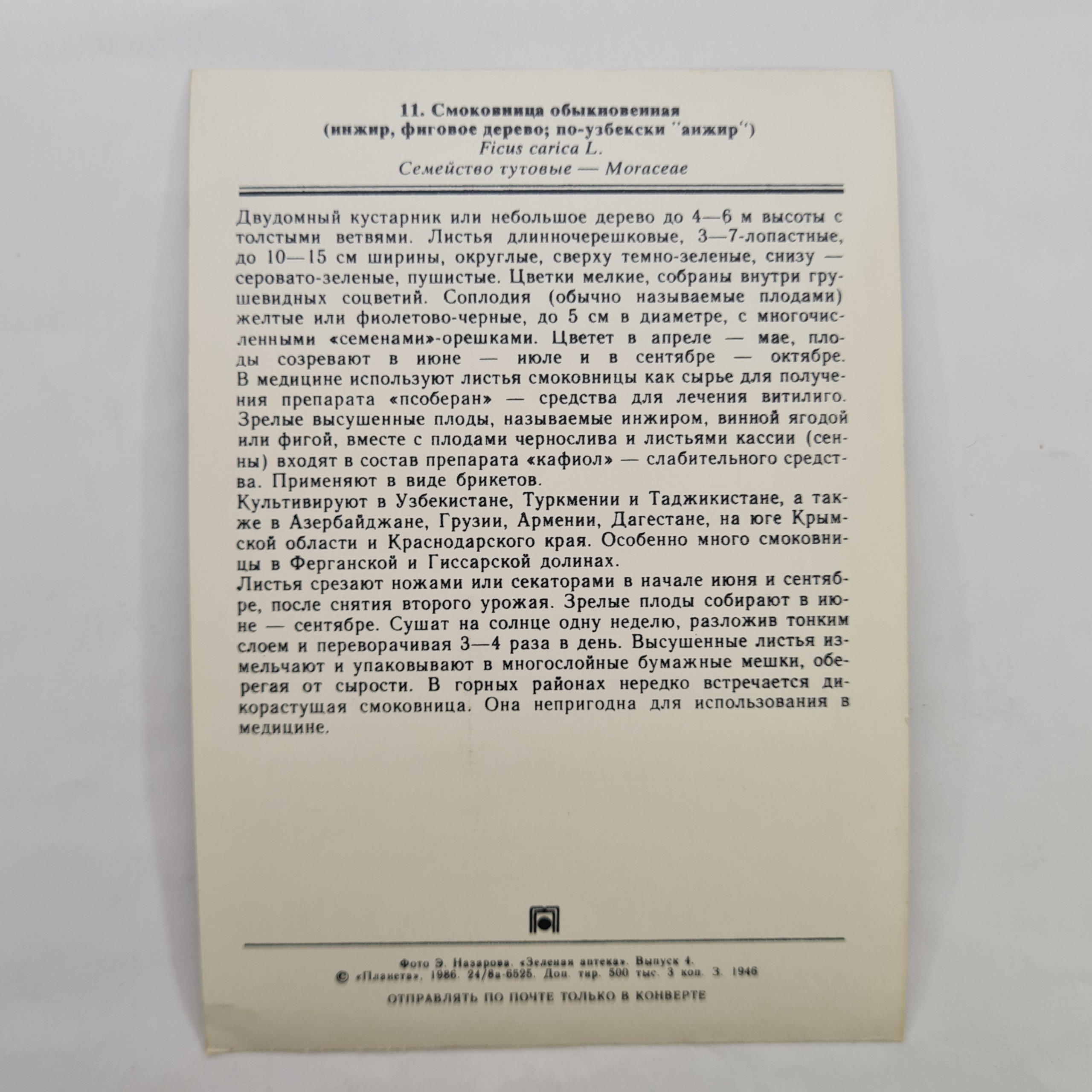 Картинка 2