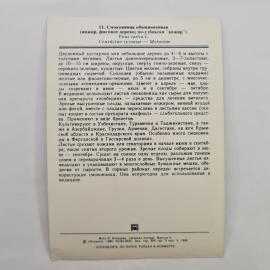 Картинка 2