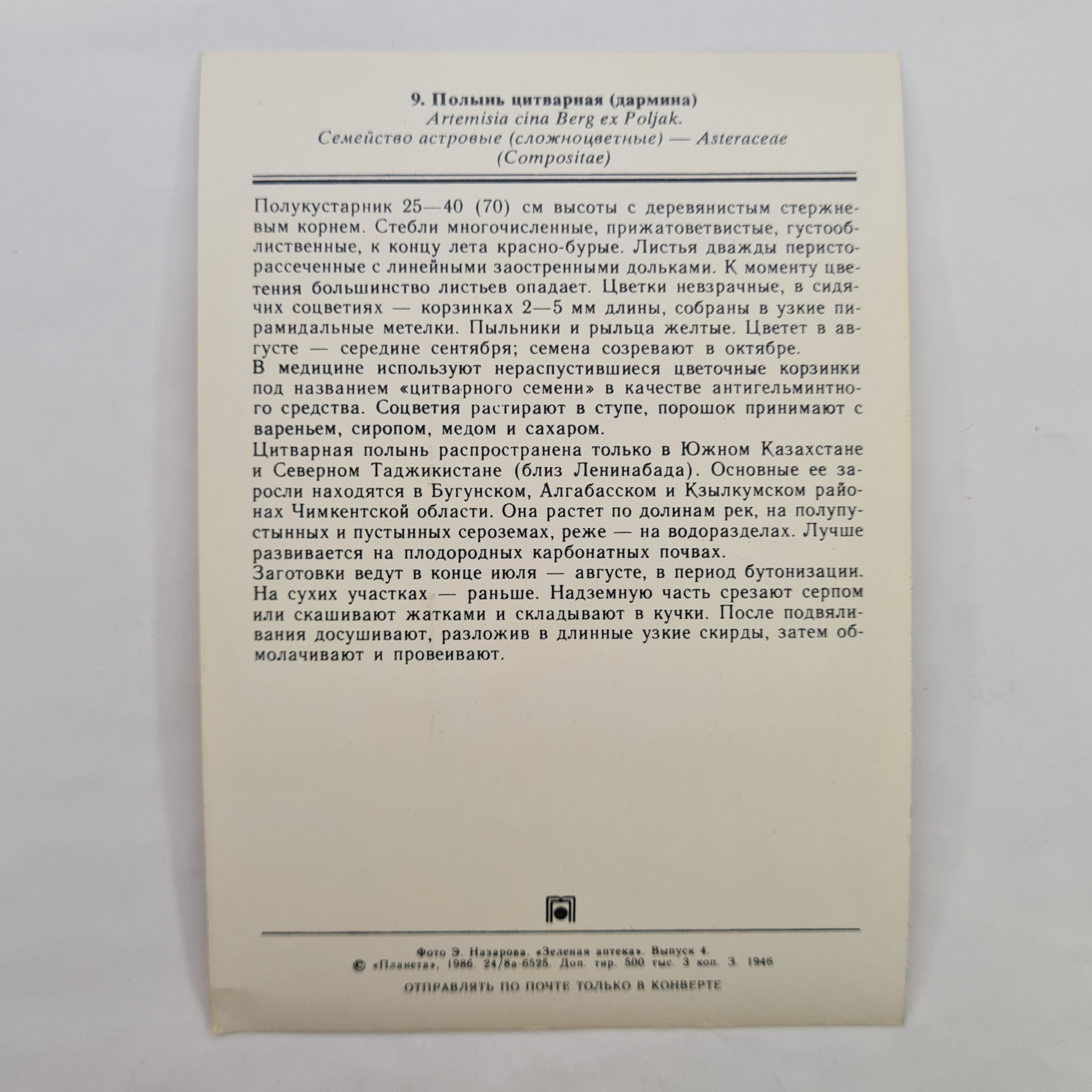 Картинка 2