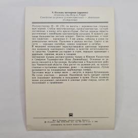 Картинка 2