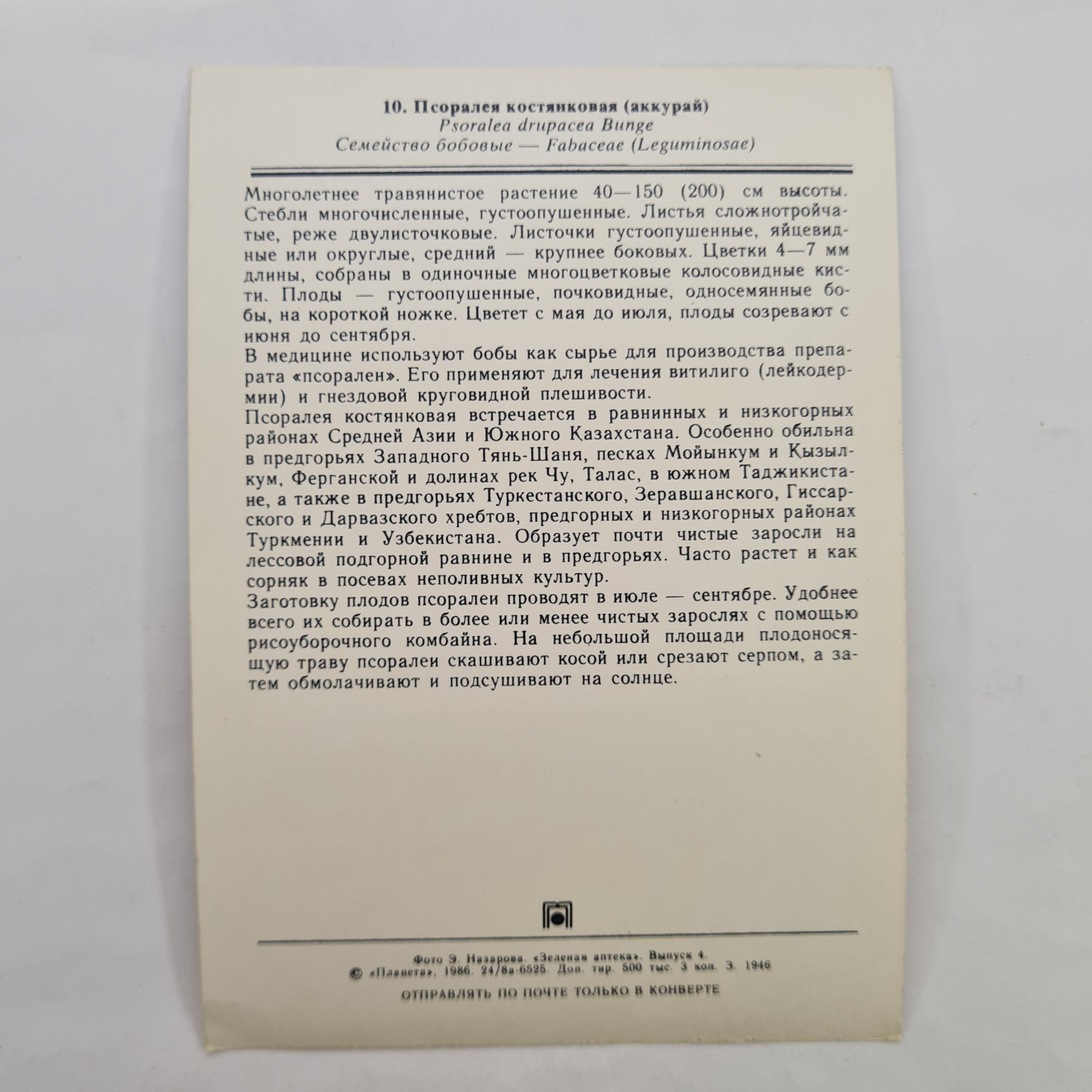Картинка 2