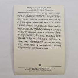Картинка 2