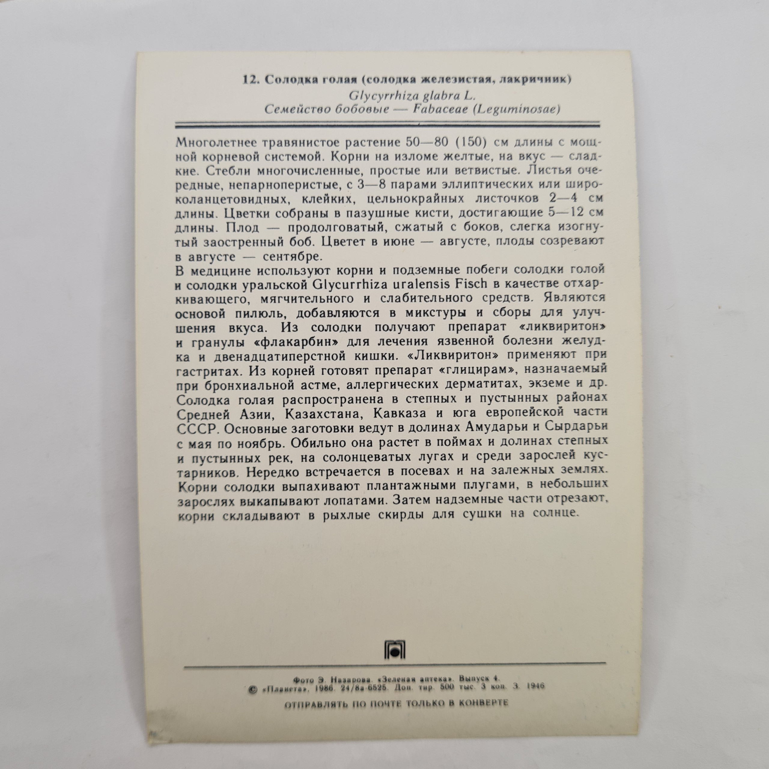 Картинка 2